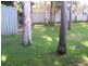 59-61 Pacific  Avenue, Anna Bay NSW 2316