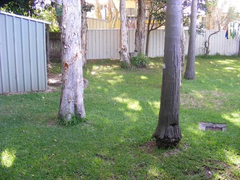 59-61 Pacific  Avenue, Anna Bay NSW 2316