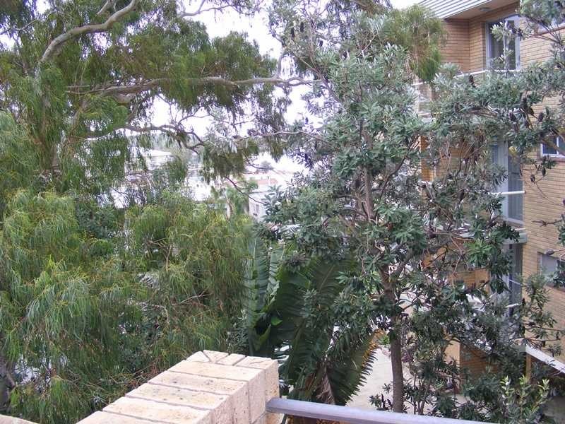 Shoal Bay NSW 2315