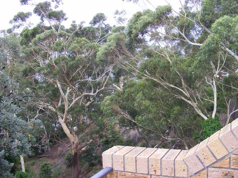 Shoal Bay NSW 2315