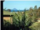 Salamander Bay NSW 2317