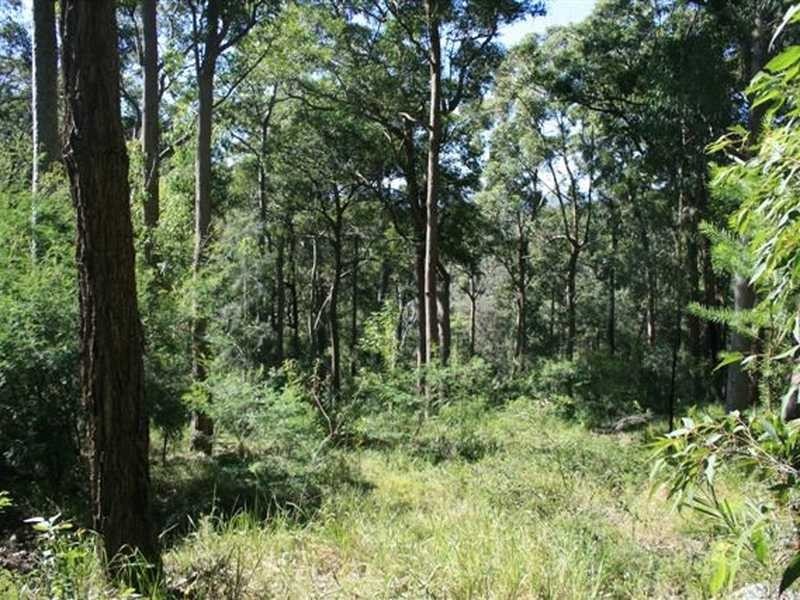 19 Uffington Drive, Duns Creek NSW 2321