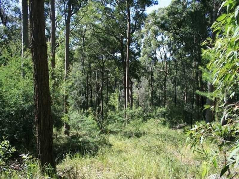 19 Uffington Drive, Duns Creek NSW 2321