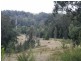19 Uffington Drive, Duns Creek NSW 2321