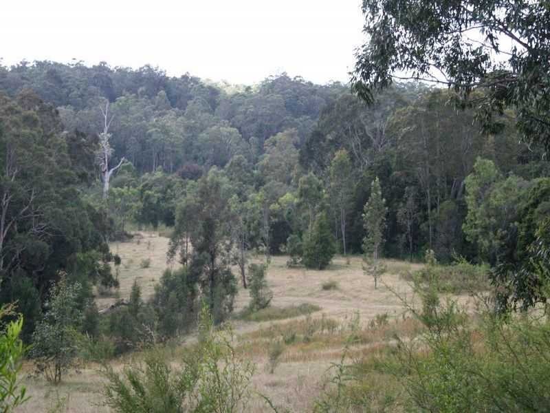 19 Uffington Drive, Duns Creek NSW 2321