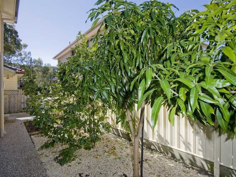 9 Gowrie Avenue, Nelson Bay NSW 2315