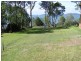 Lemon Tree Passage NSW 2319