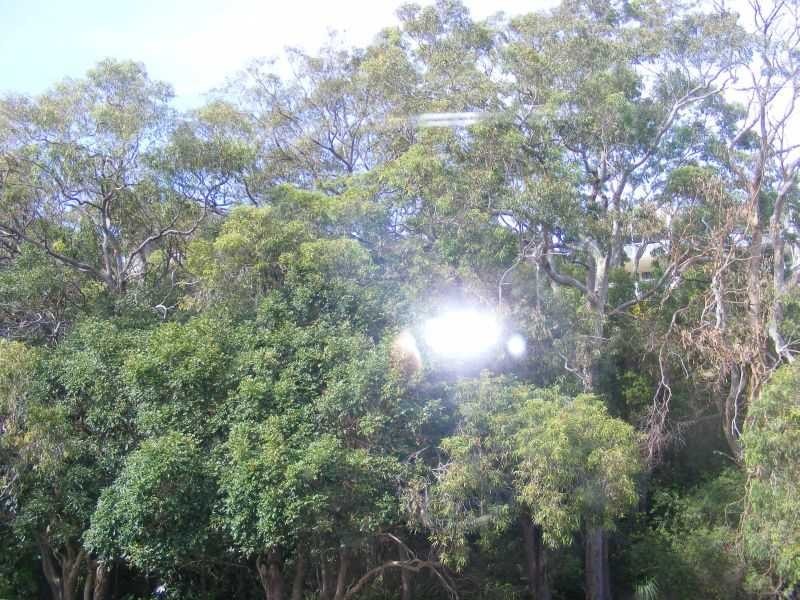 Shoal Bay NSW 2315