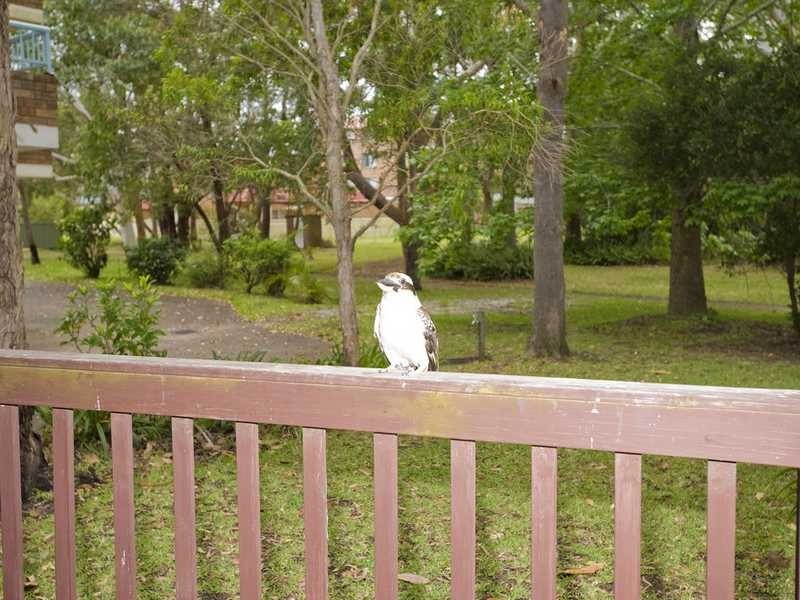 Nelson Bay NSW 2315