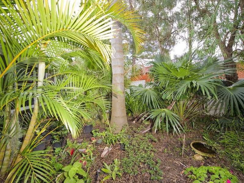 Salamander Bay NSW 2317