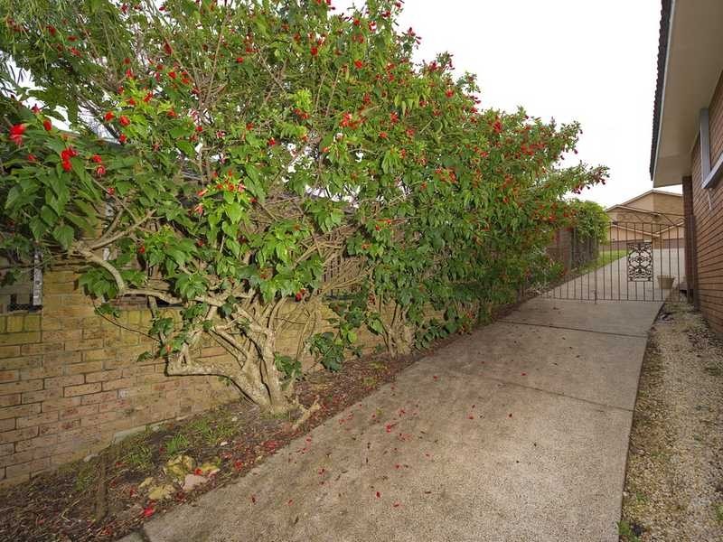 25 Thurlow Avenue, Nelson Bay NSW 2315