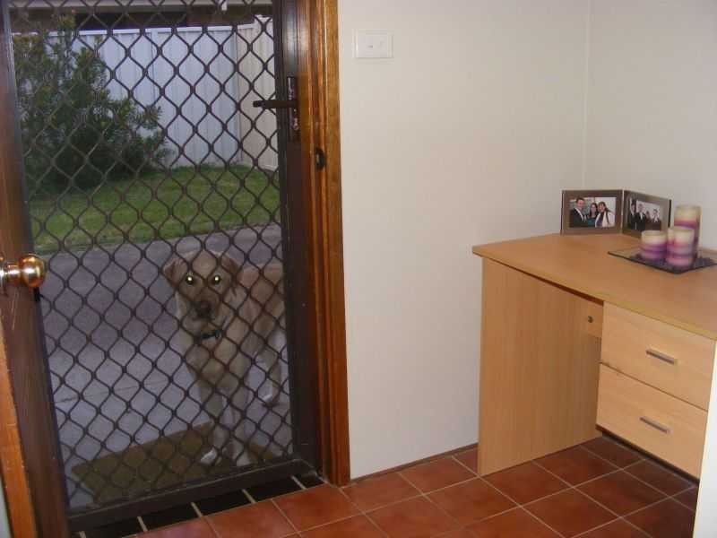 55 Shoreline Drive, Fingal Bay NSW 2315