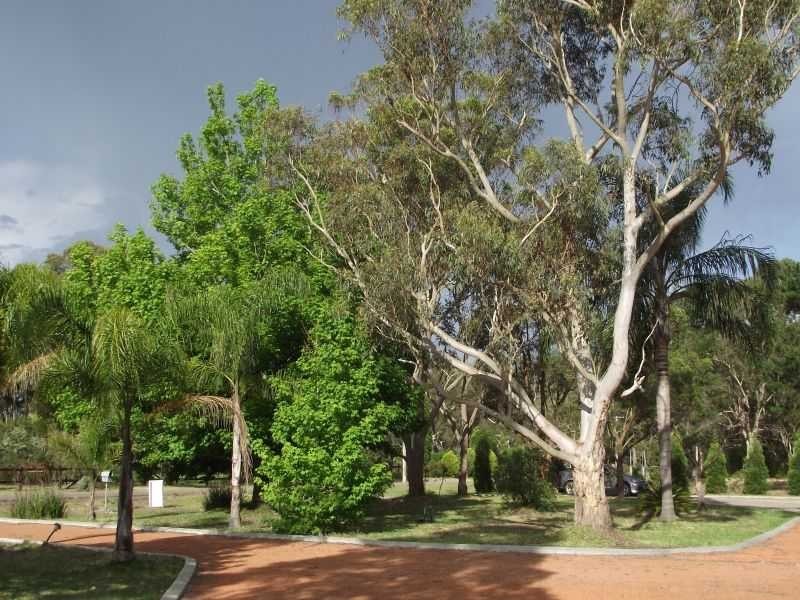 Salt Ash NSW 2318