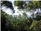 12 Gloucester Street, Nelson Bay NSW 2315