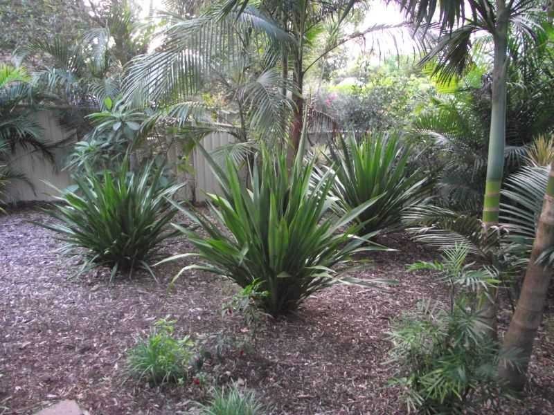 7 Tingara Road, Nelson Bay NSW 2315