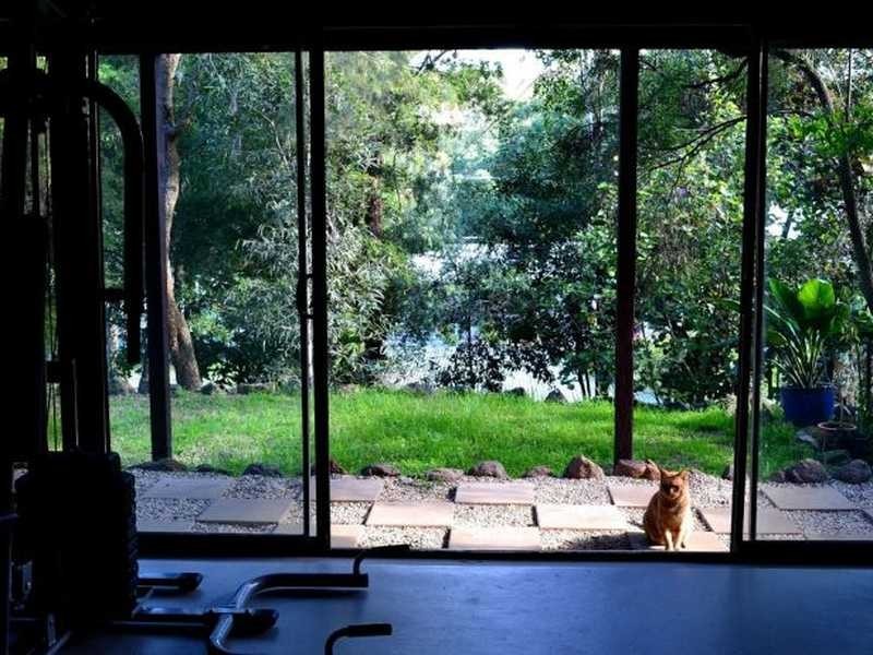 38 Raiss Close, Lemon Tree Passage NSW 2319