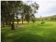 650 Marsh Road, Bobs Farm NSW 2316