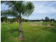 650 Marsh Road, Bobs Farm NSW 2316