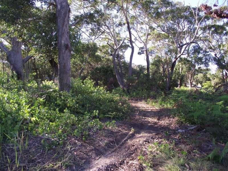 Boat Harbour NSW 2316