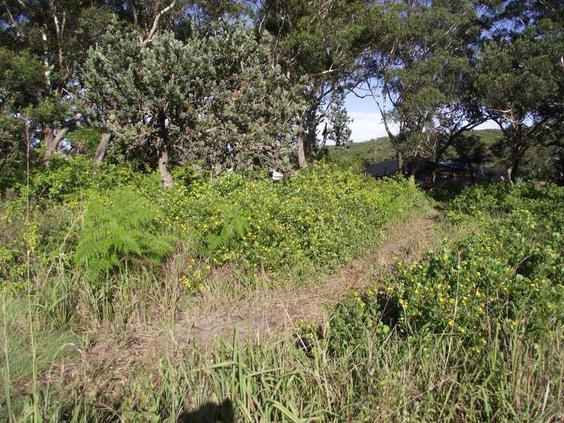 Boat Harbour NSW 2316