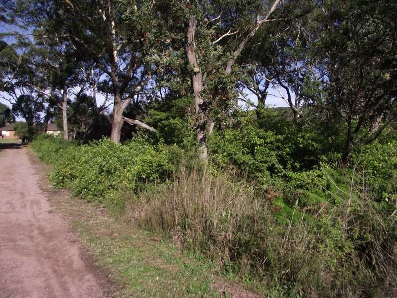 Boat Harbour NSW 2316