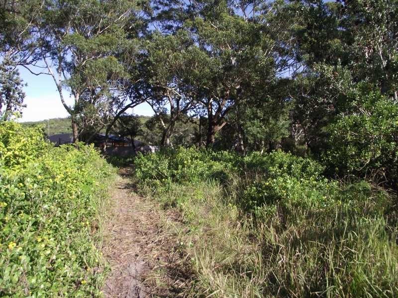 Boat Harbour NSW 2316