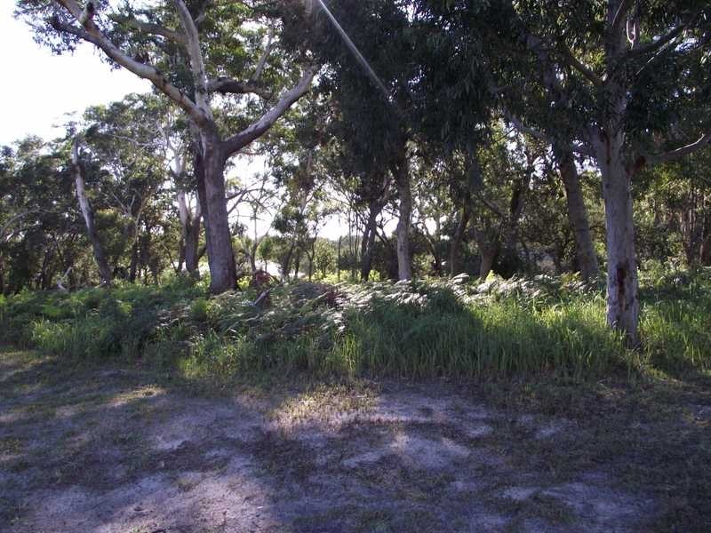 Boat Harbour NSW 2316