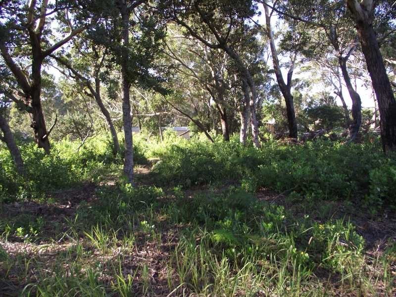 Boat Harbour NSW 2316