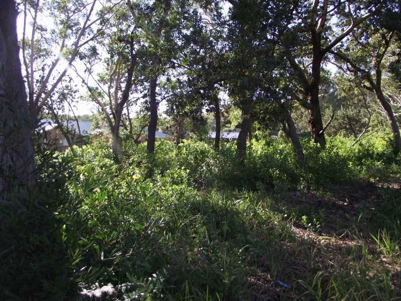 Boat Harbour NSW 2316