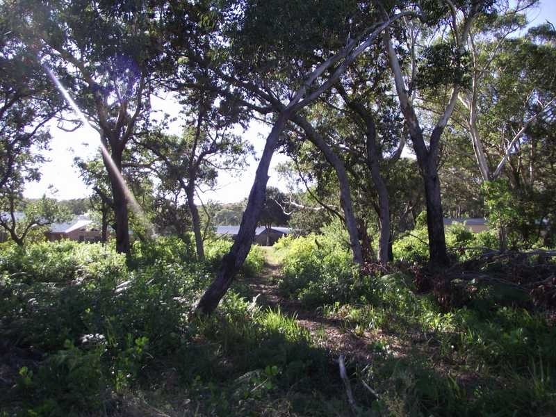 Boat Harbour NSW 2316