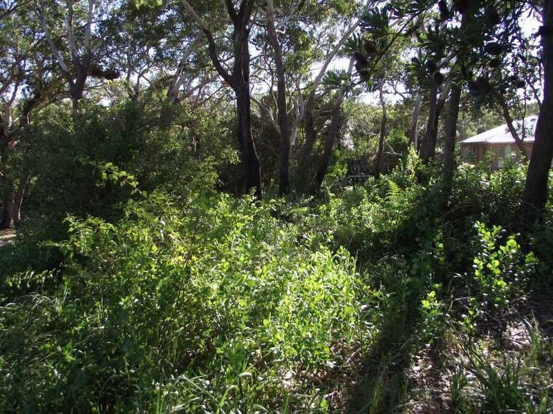 Boat Harbour NSW 2316