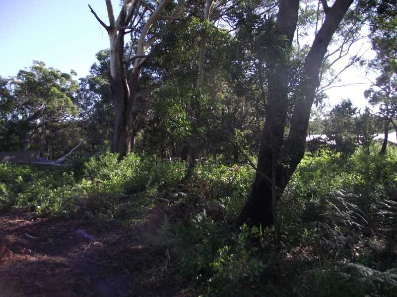 Boat Harbour NSW 2316