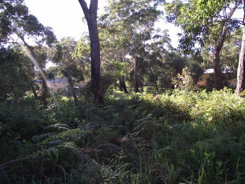 Boat Harbour NSW 2316