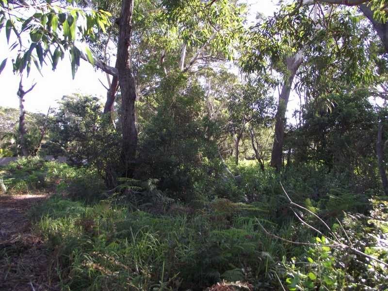 Boat Harbour NSW 2316