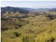 Cobark NSW 2422