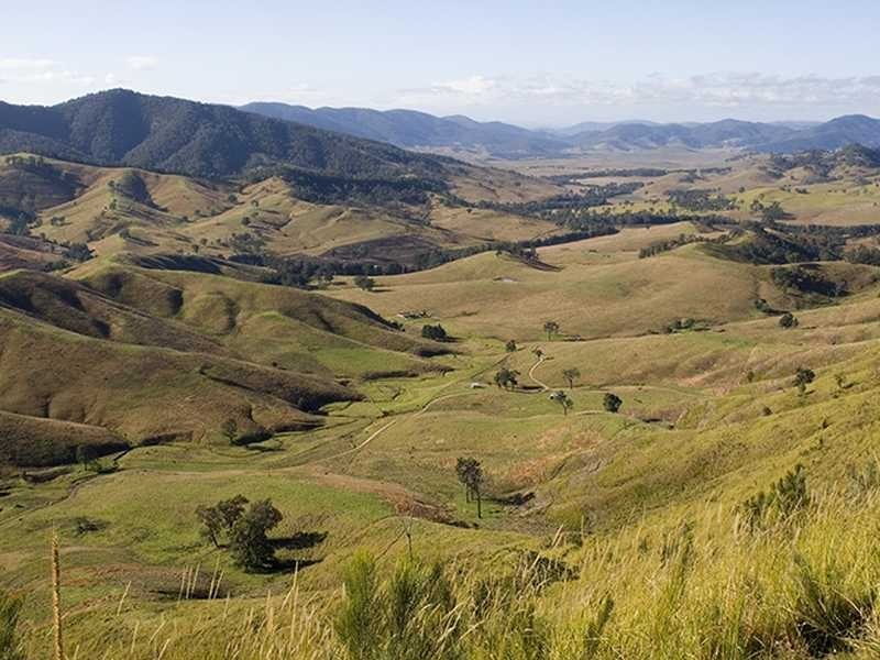 Cobark NSW 2422