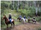 Cobark NSW 2422