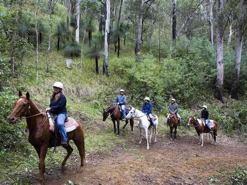 Cobark NSW 2422