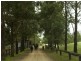 Cobark NSW 2422