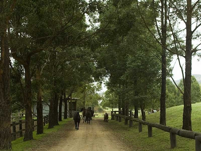Cobark NSW 2422