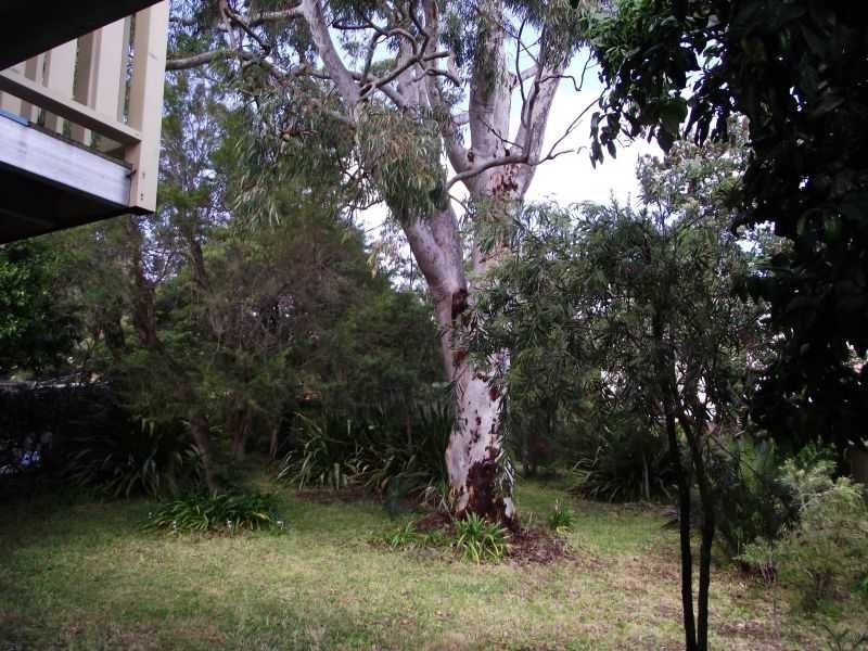 10 Lionel Avenue, Shoal Bay NSW 2315