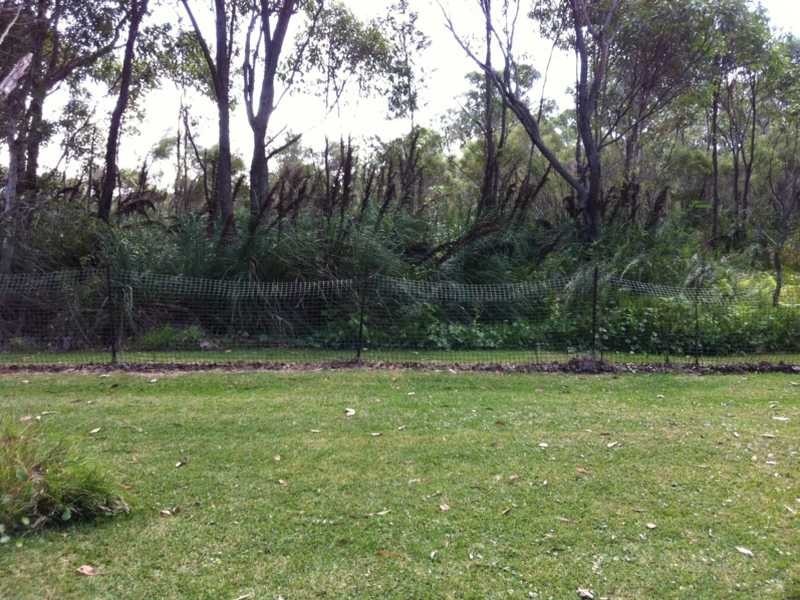 125 Salamander Way, Salamander Bay NSW 2317