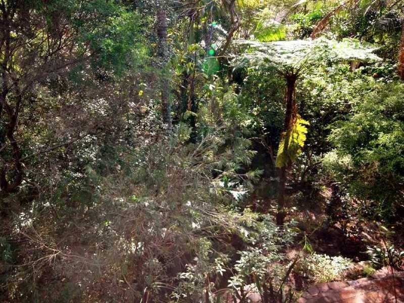 46 Yoolarai Crescent, Nelson Bay NSW 2315