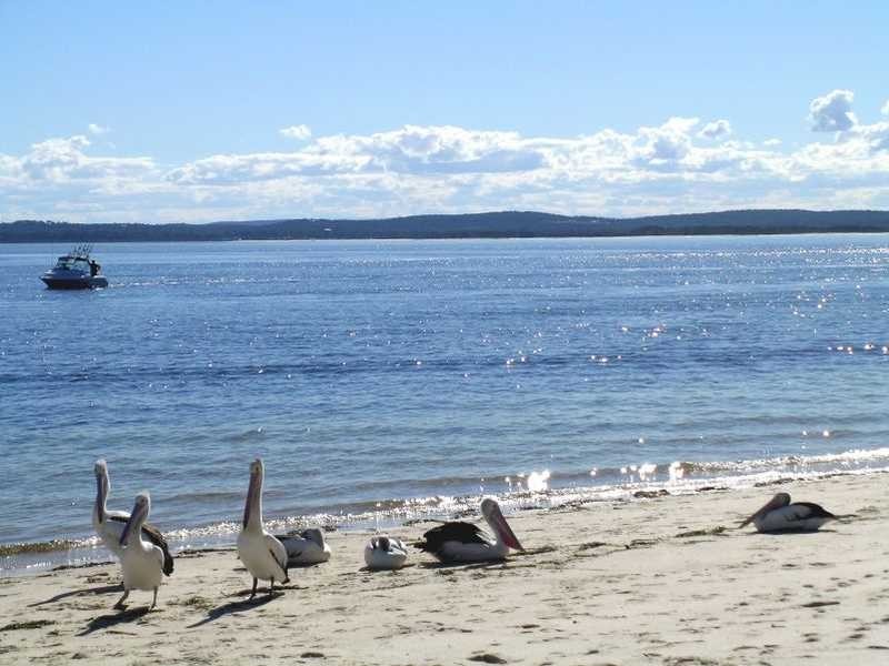 Apartment 8/1 Intrepid Close, Nelson Bay NSW 2315