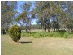 Bobs Farm NSW 2316