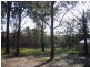 29 Boyd Boulevarde, Medowie NSW 2318