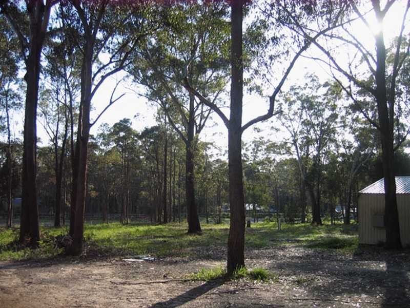 29 Boyd Boulevarde, Medowie NSW 2318