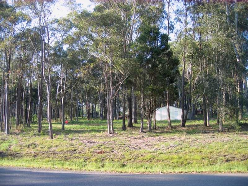 29 Boyd Boulevarde, Medowie NSW 2318