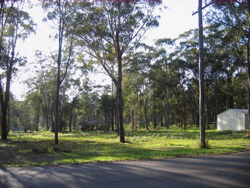 29 Boyd Boulevarde, Medowie NSW 2318