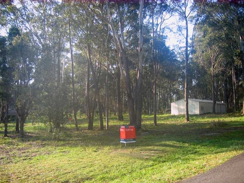 29 Boyd Boulevarde, Medowie NSW 2318